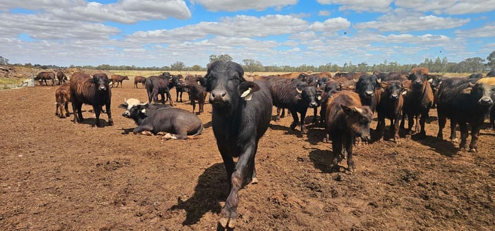 2025-10-24 14 17 40.364