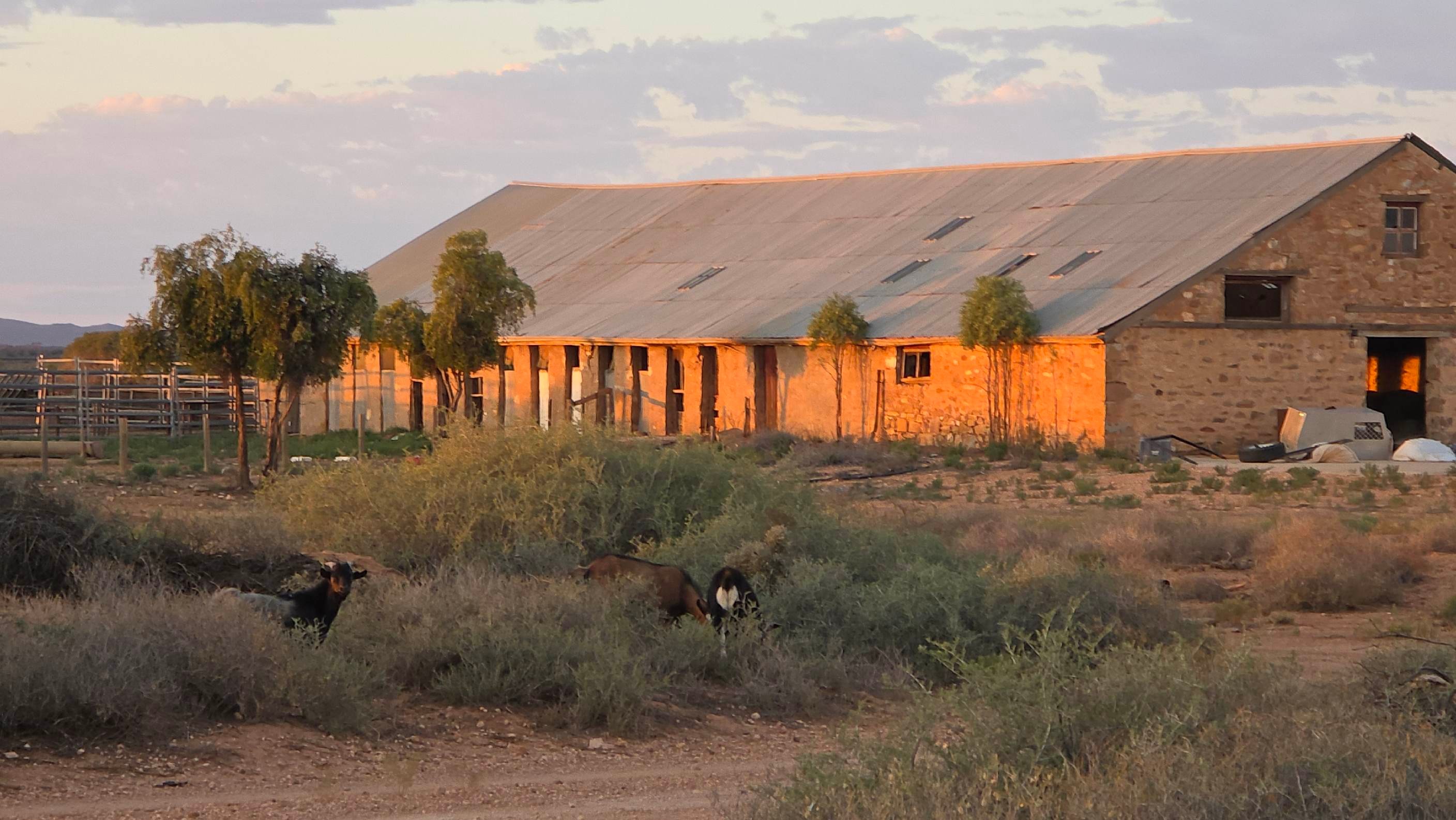 koonamore station remote area power system upgrade