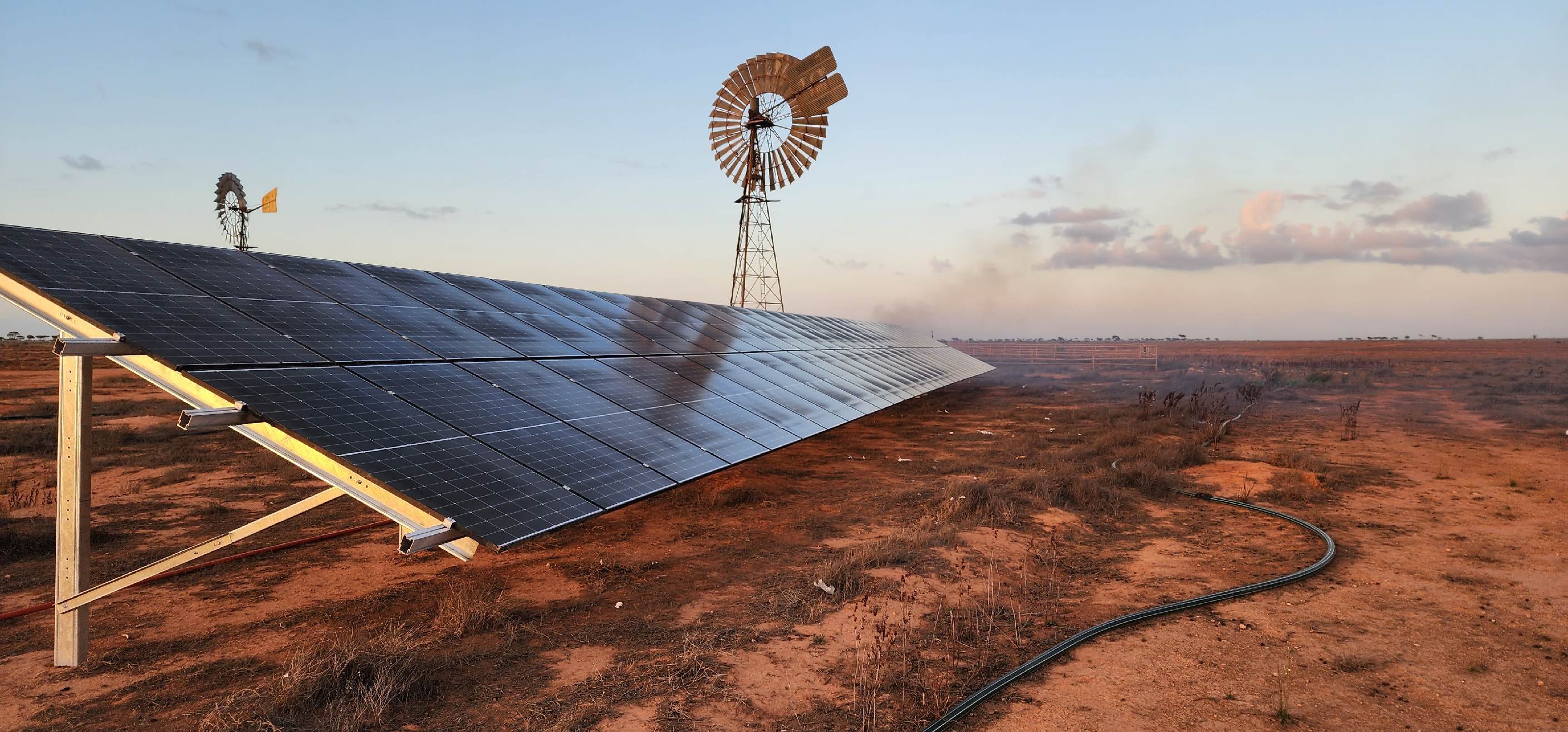 Madura Plains Station, Western Australia