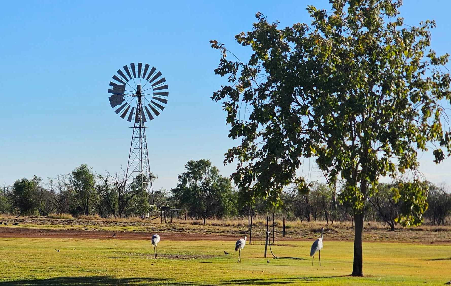 Understanding Blina Station's Unique Off grid Power Challenges~mv2