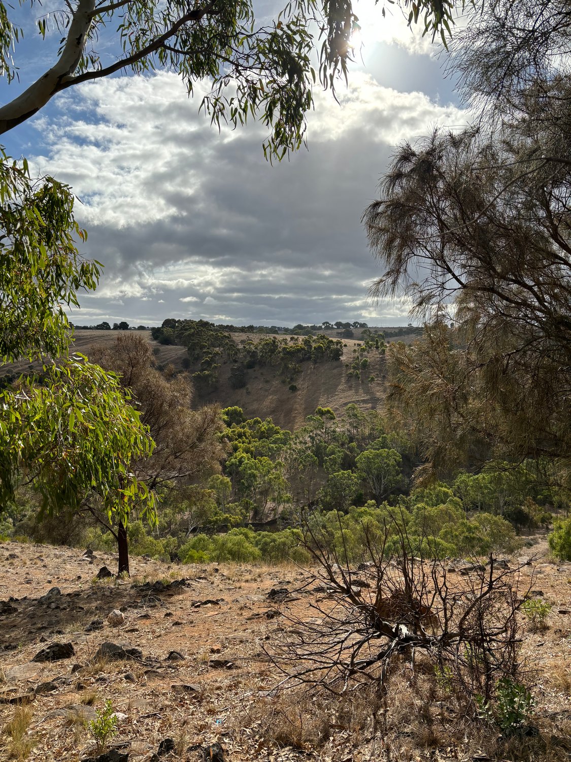 Tiny Home Highland Valley